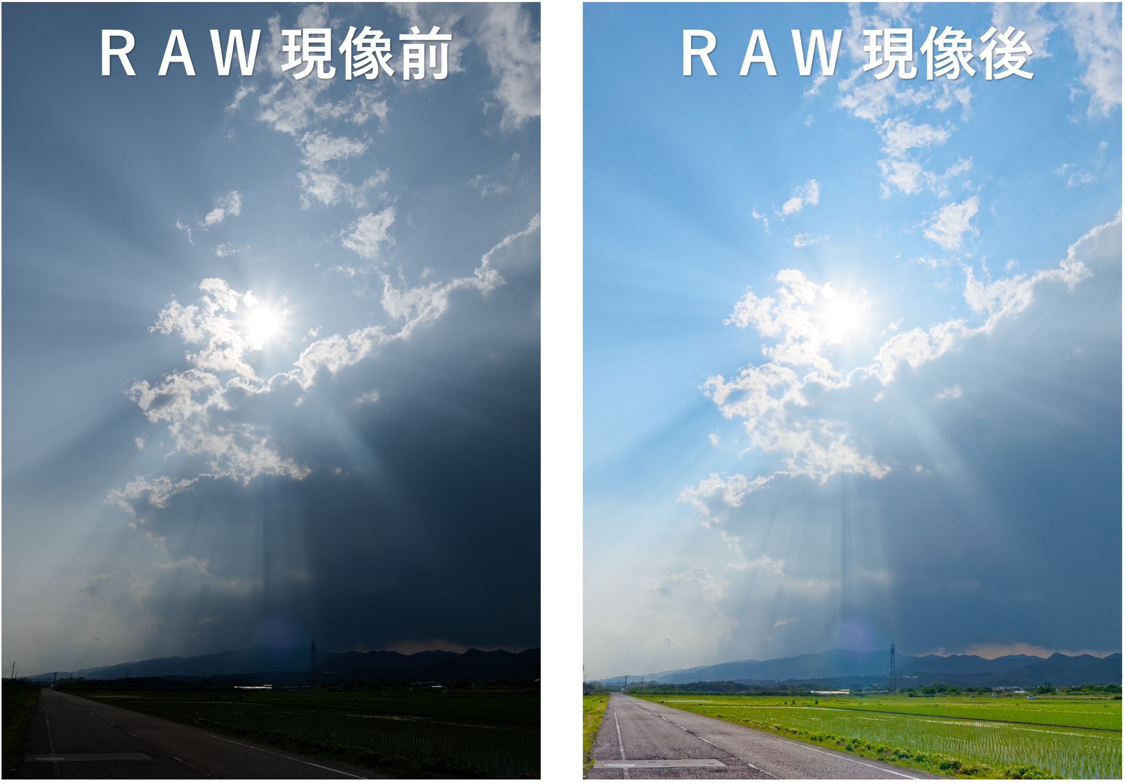 カメラ初心者こそRAW現像をするのがお薦め！