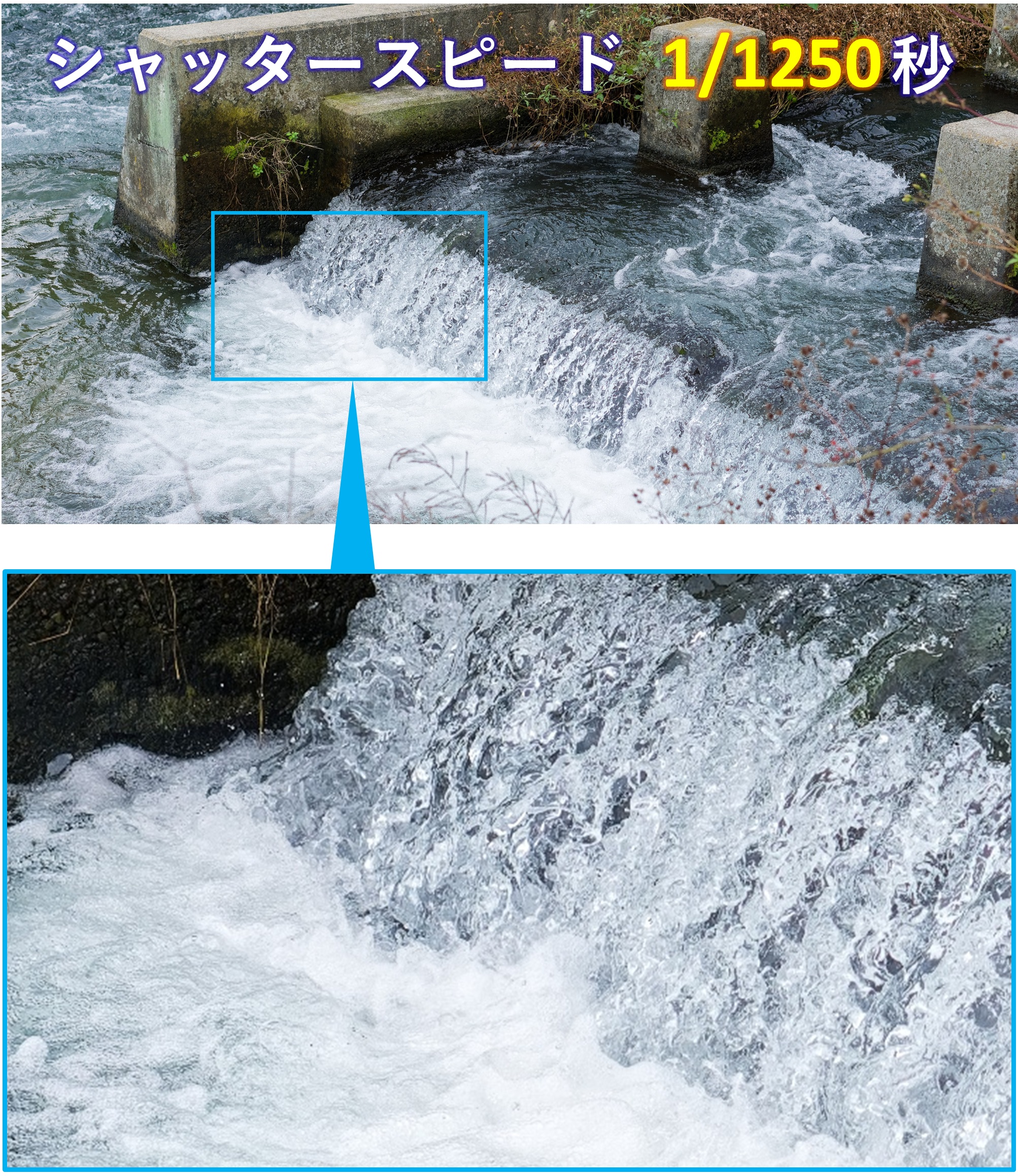 シャッタースピード1/1250秒