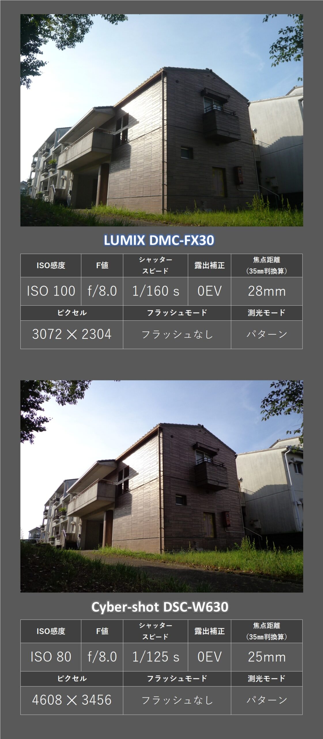 エモい写真が撮れるか検証！CCD オールドコンデジの「ソニー