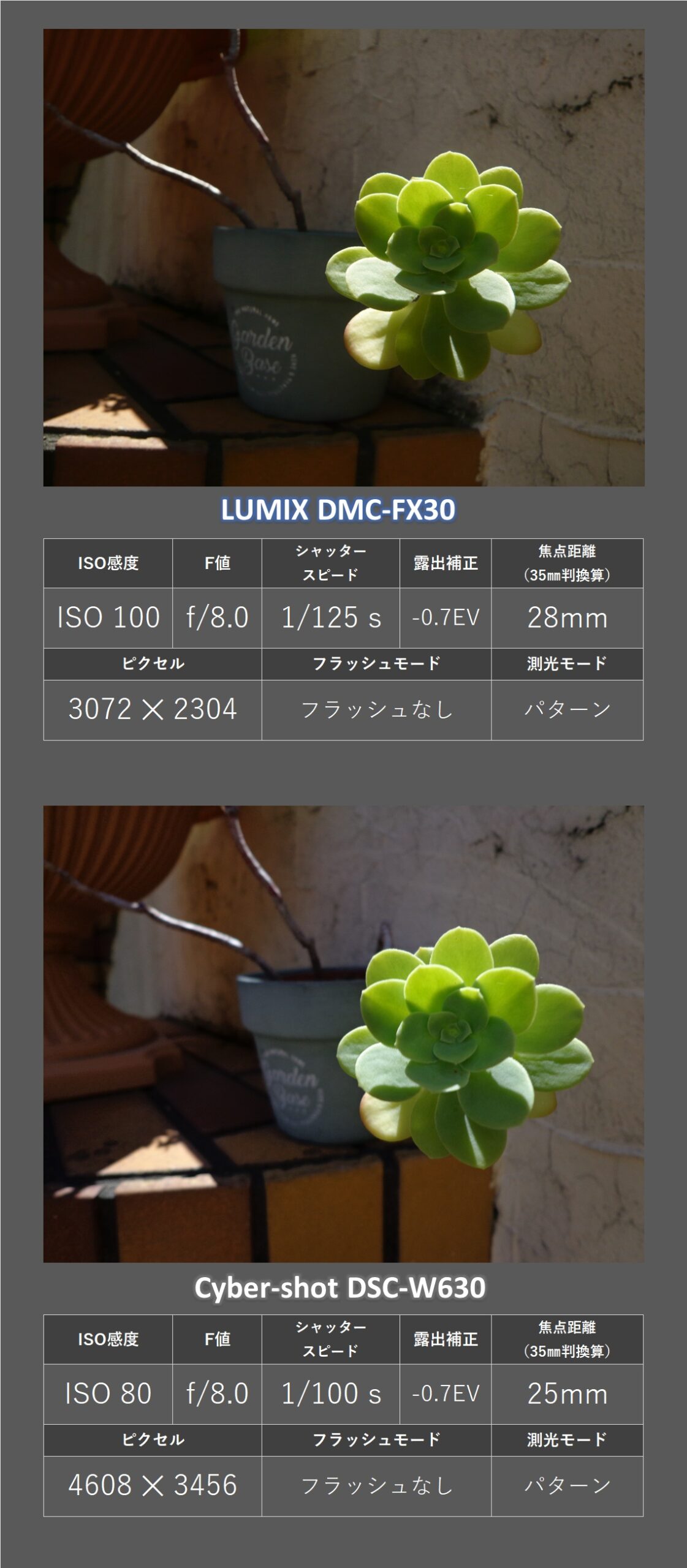 エモい写真が撮れるか検証！CCD オールドコンデジの「ソニー
