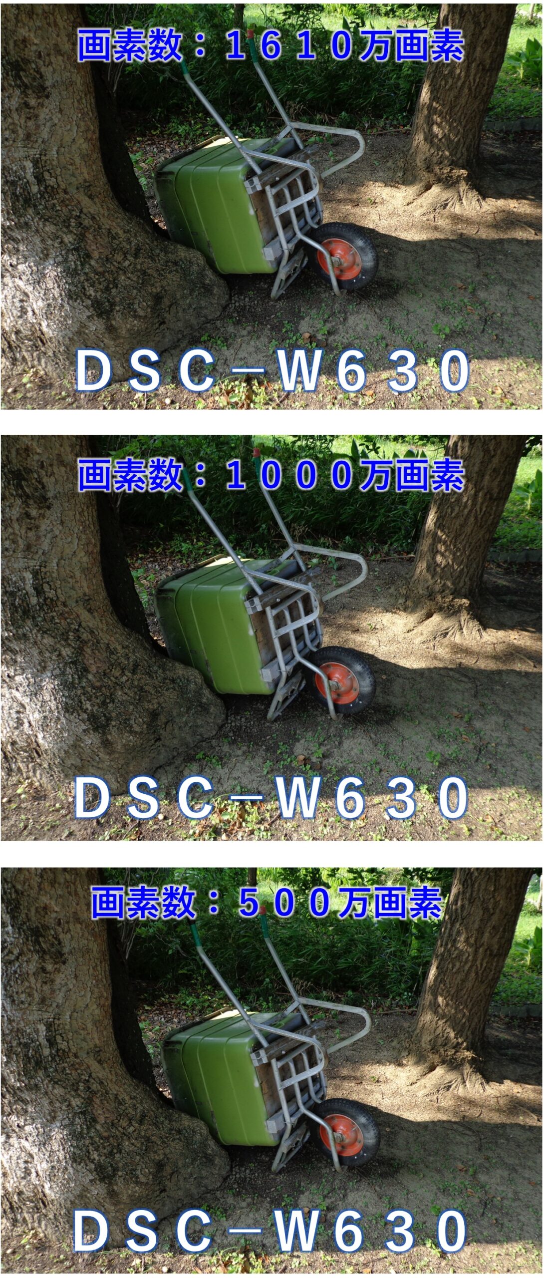 「DSC-W630」画素数による画質の違い
