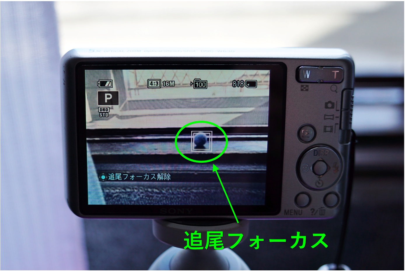 ソニー サイバーショット DSC-W630　追尾フォーカス（画像）
