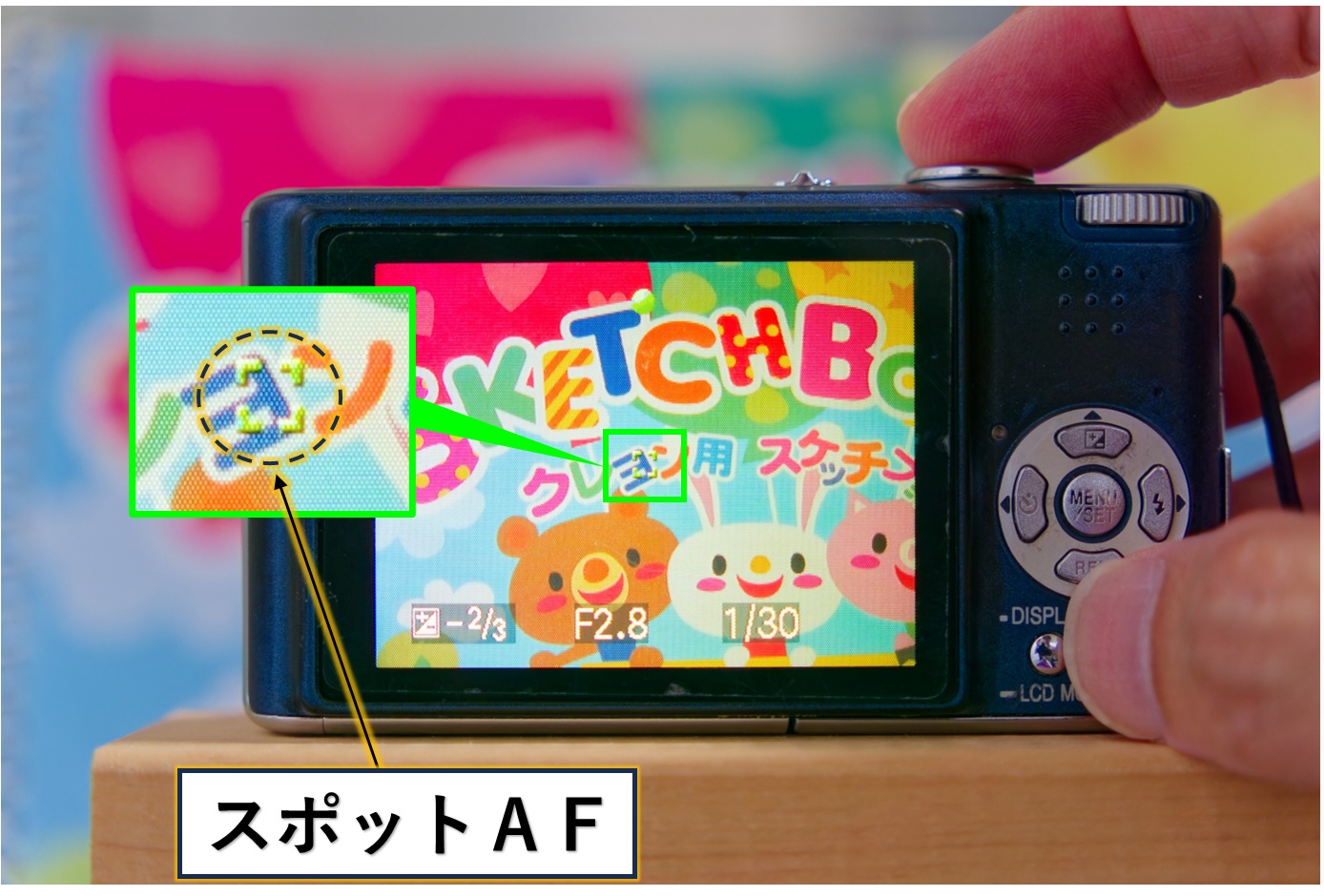 DMC-FX30　背面液晶画面（スポットＡＦ）