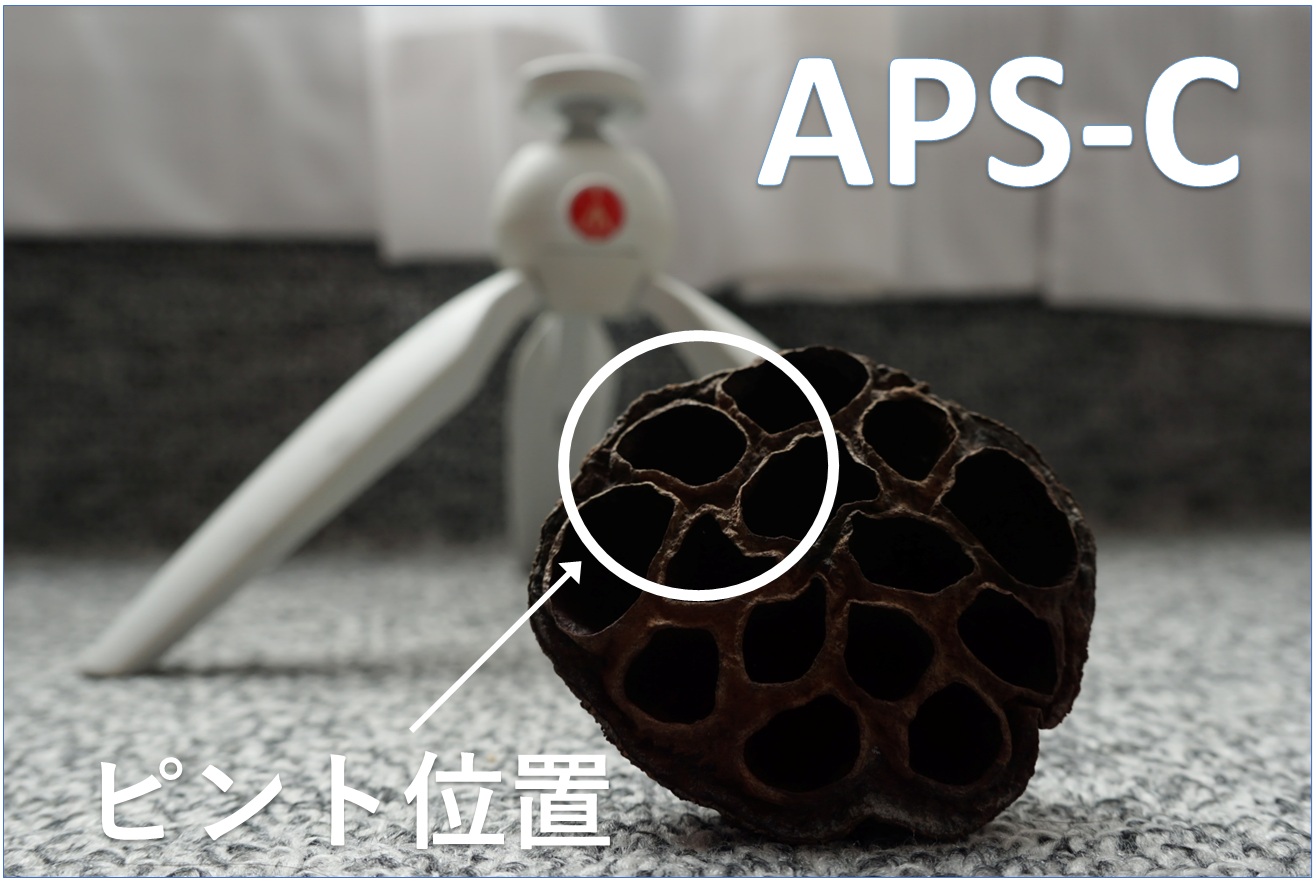 センサーサイズによるボケ感の違い（APS-C）