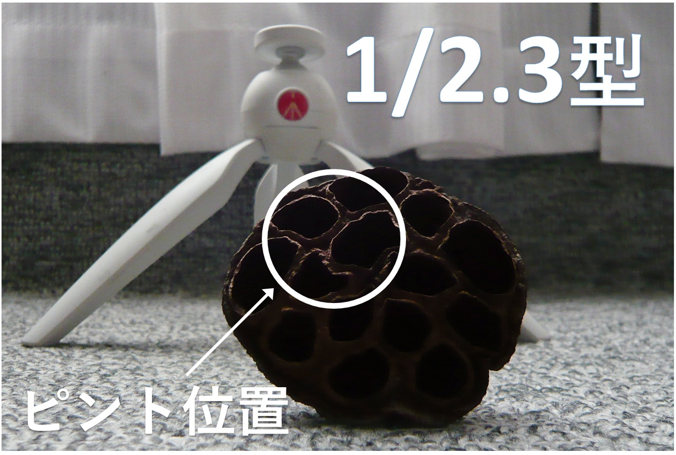 センサーサイズによるボケ感の違い（1/2.3型）