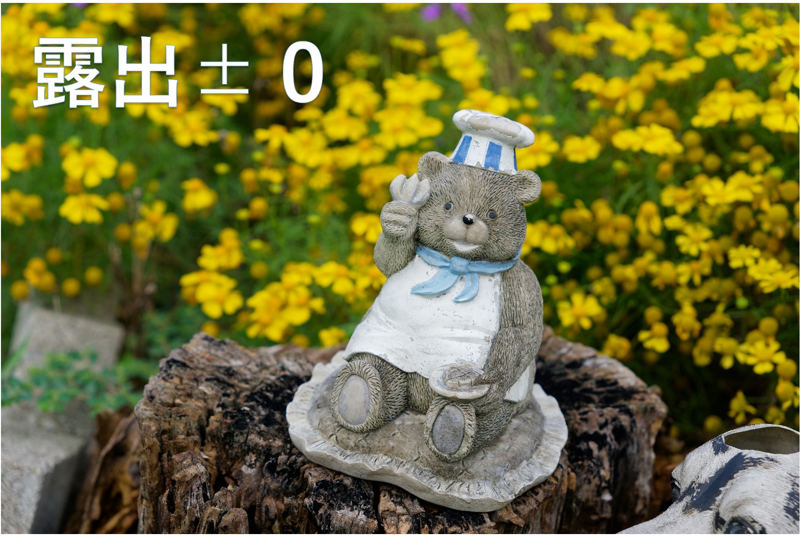 「露出±0」で撮影