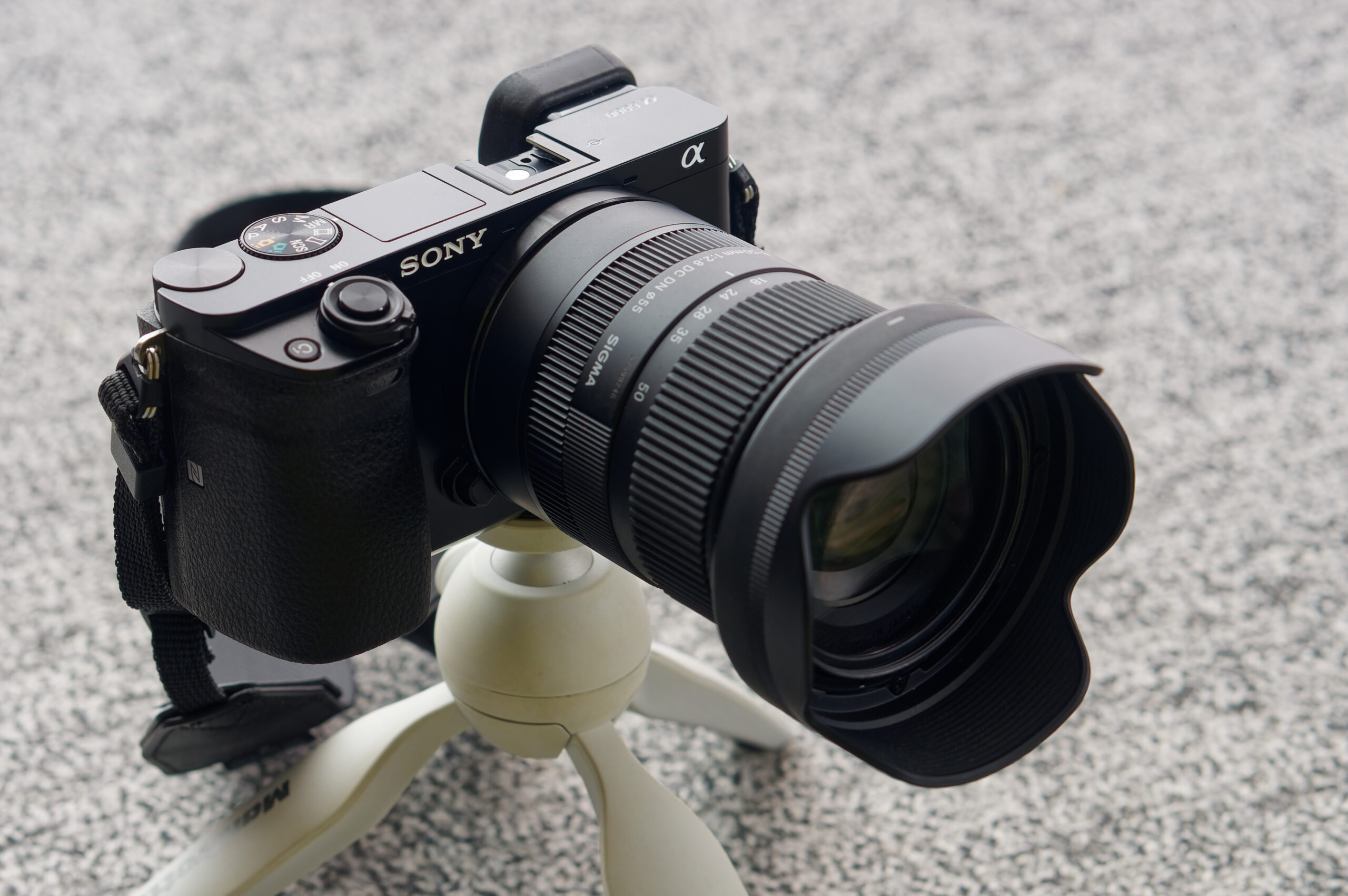 「APS-C」ミラーレスカメラα6000の写真