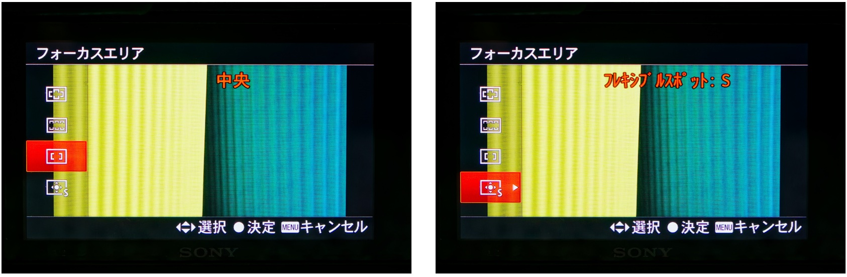お薦めのフォーカスエリア「中央」「スポット」
