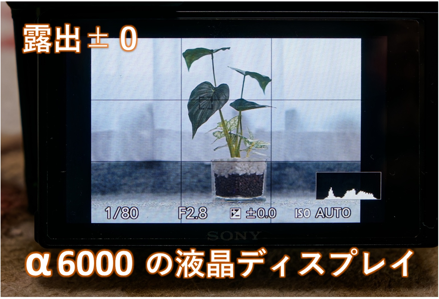 「α6000の液晶ディスプレイ」