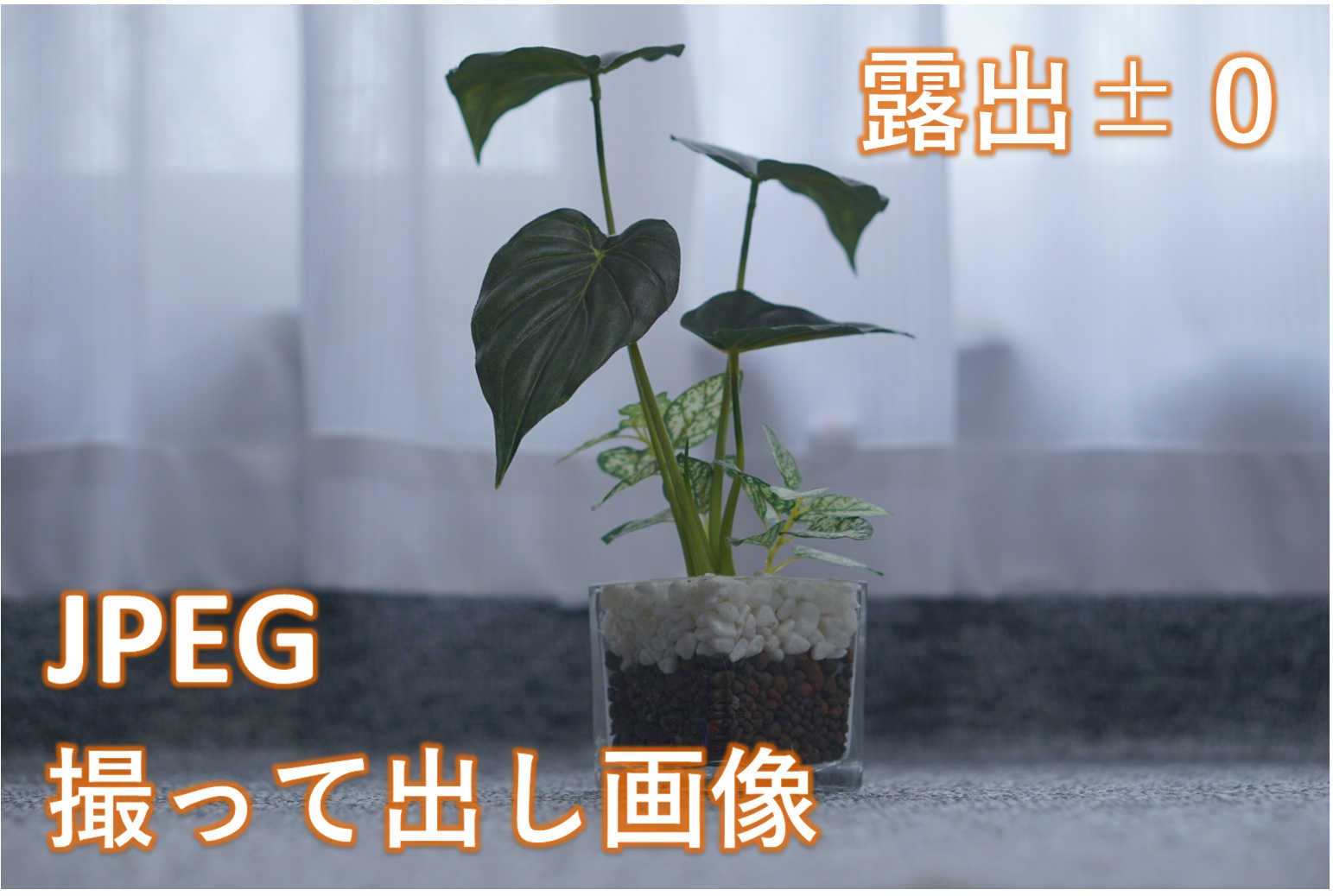 撮影後の写真「露出±０」