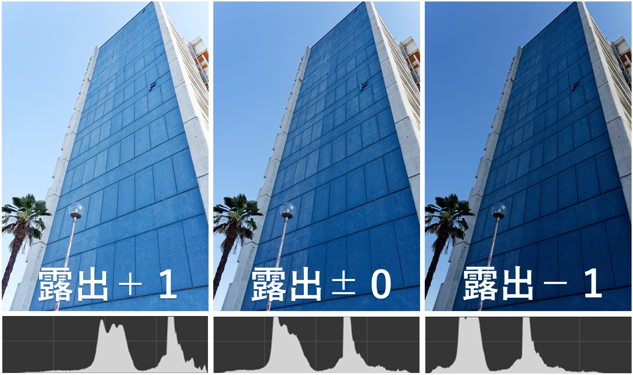 露出補正による明るさ比較の写真