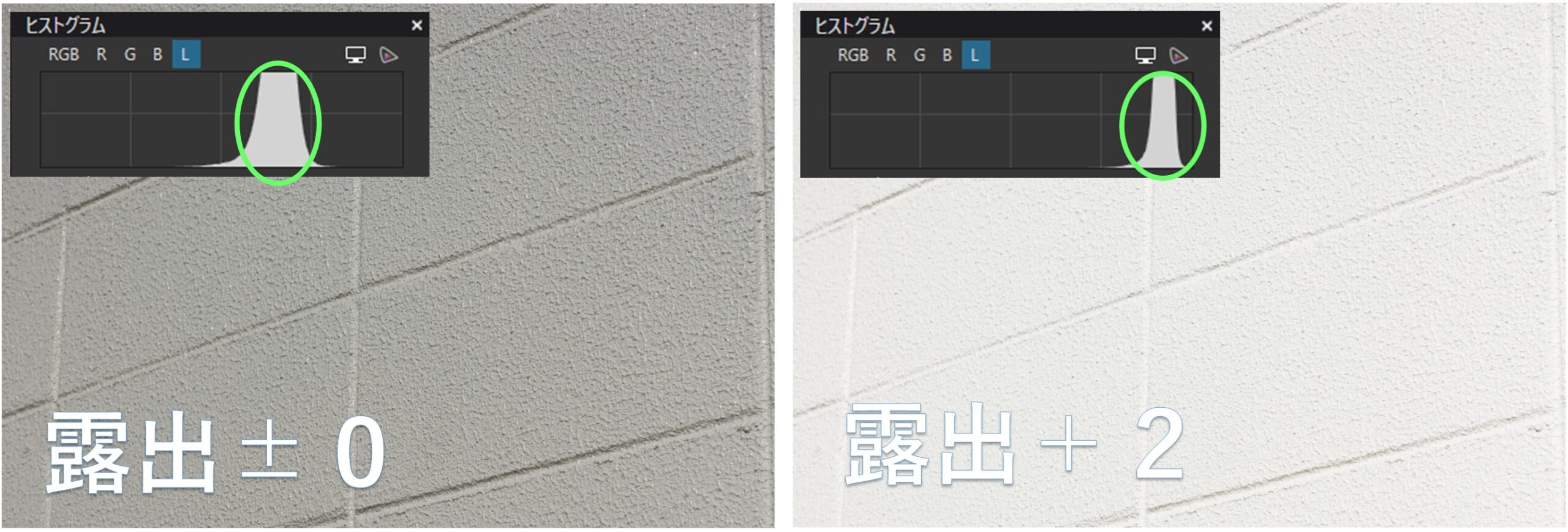 白い壁のみ撮影した写真
