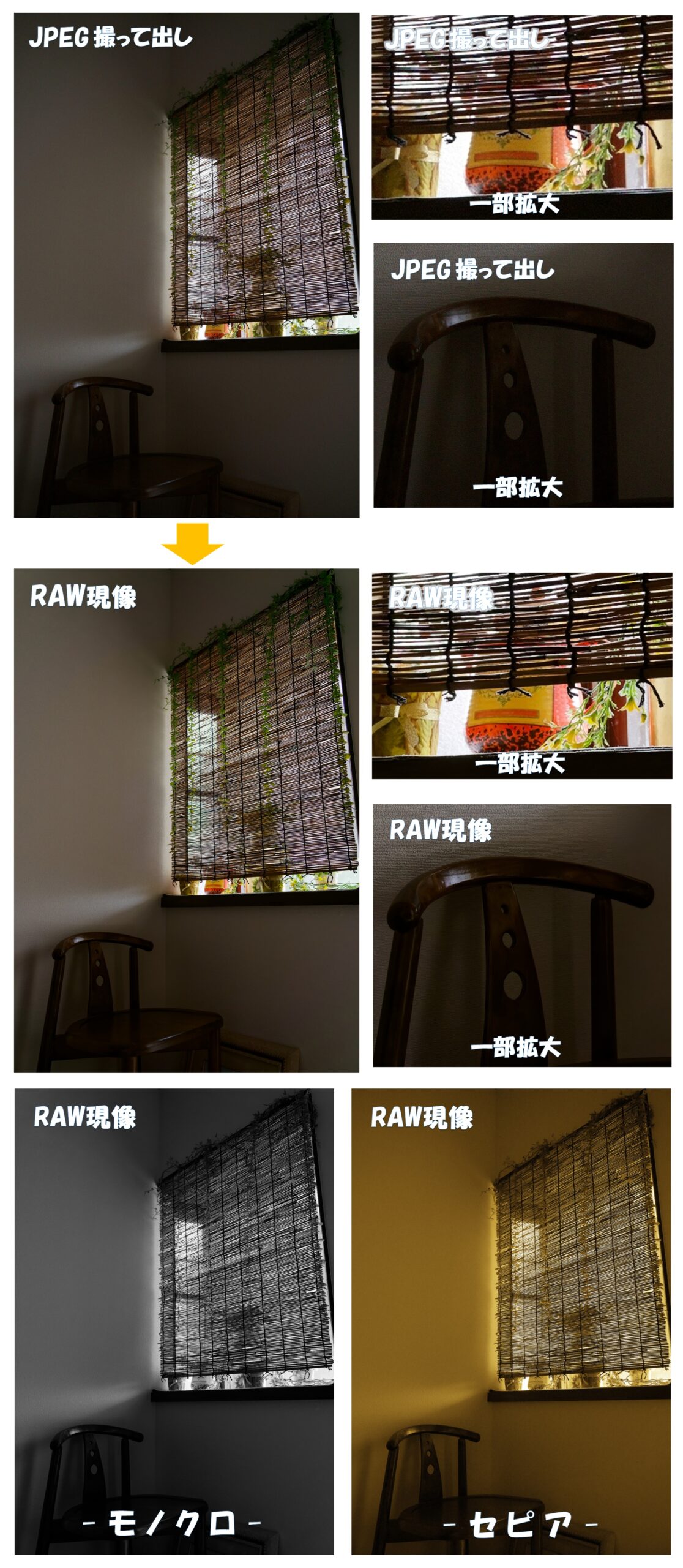 JPEG撮って出しとRAW現像（違い）