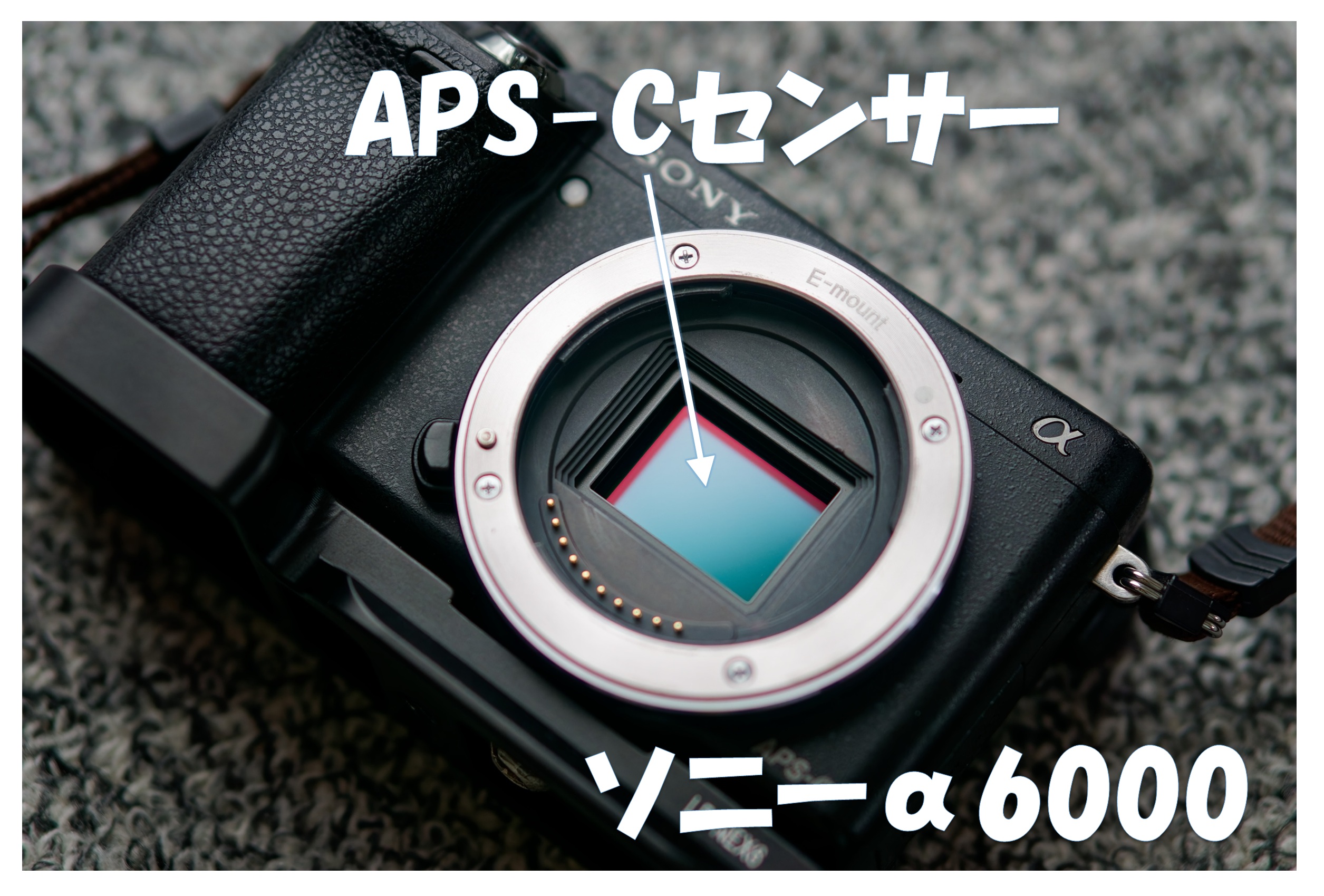 α6000のセンサーサイズ（APS-C）