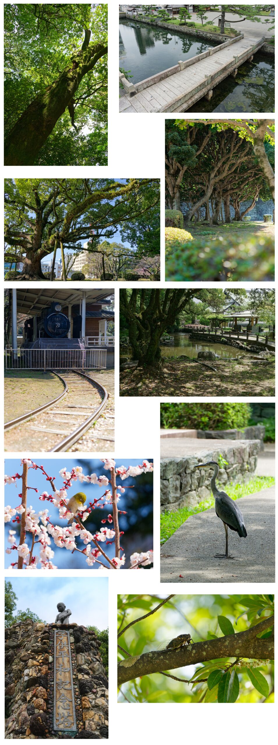 徳島中央公園　風景写真