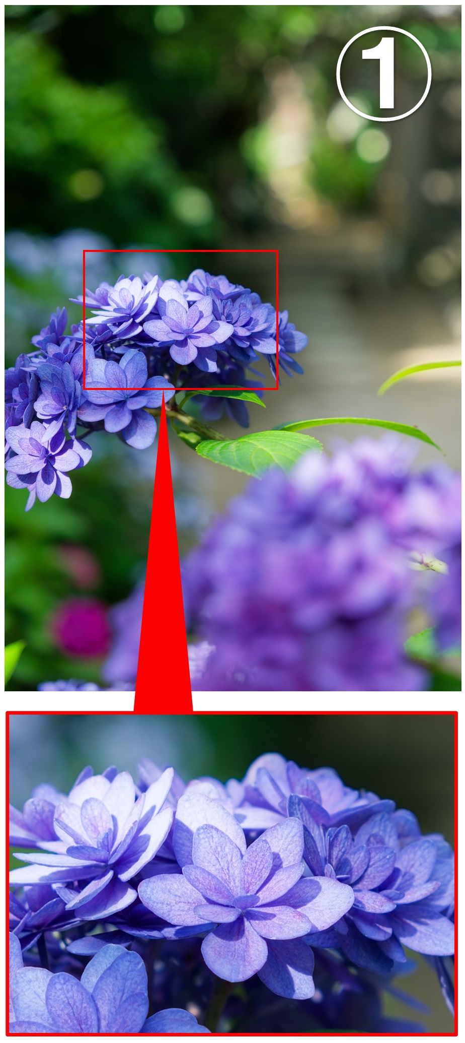 オートフォーカスが合いやすい箇所(その1)