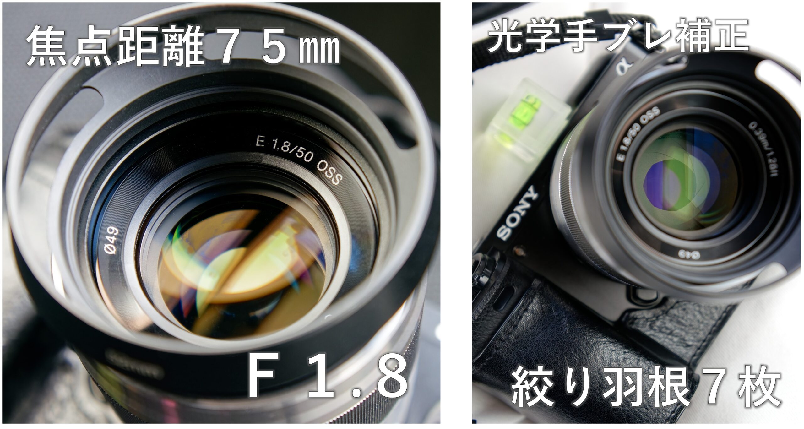 SONY E50mm F1.8 OSS 単焦点レンズ SONY E50mm F1.8 OSS(SEL50F18)とは！