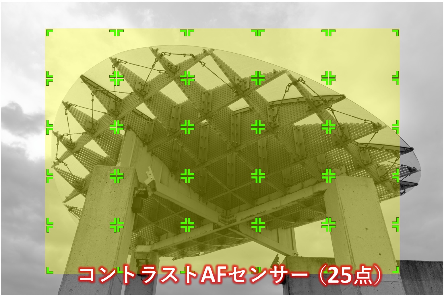 ワイドのAFエリア(25点コントラストAF【α6000】)