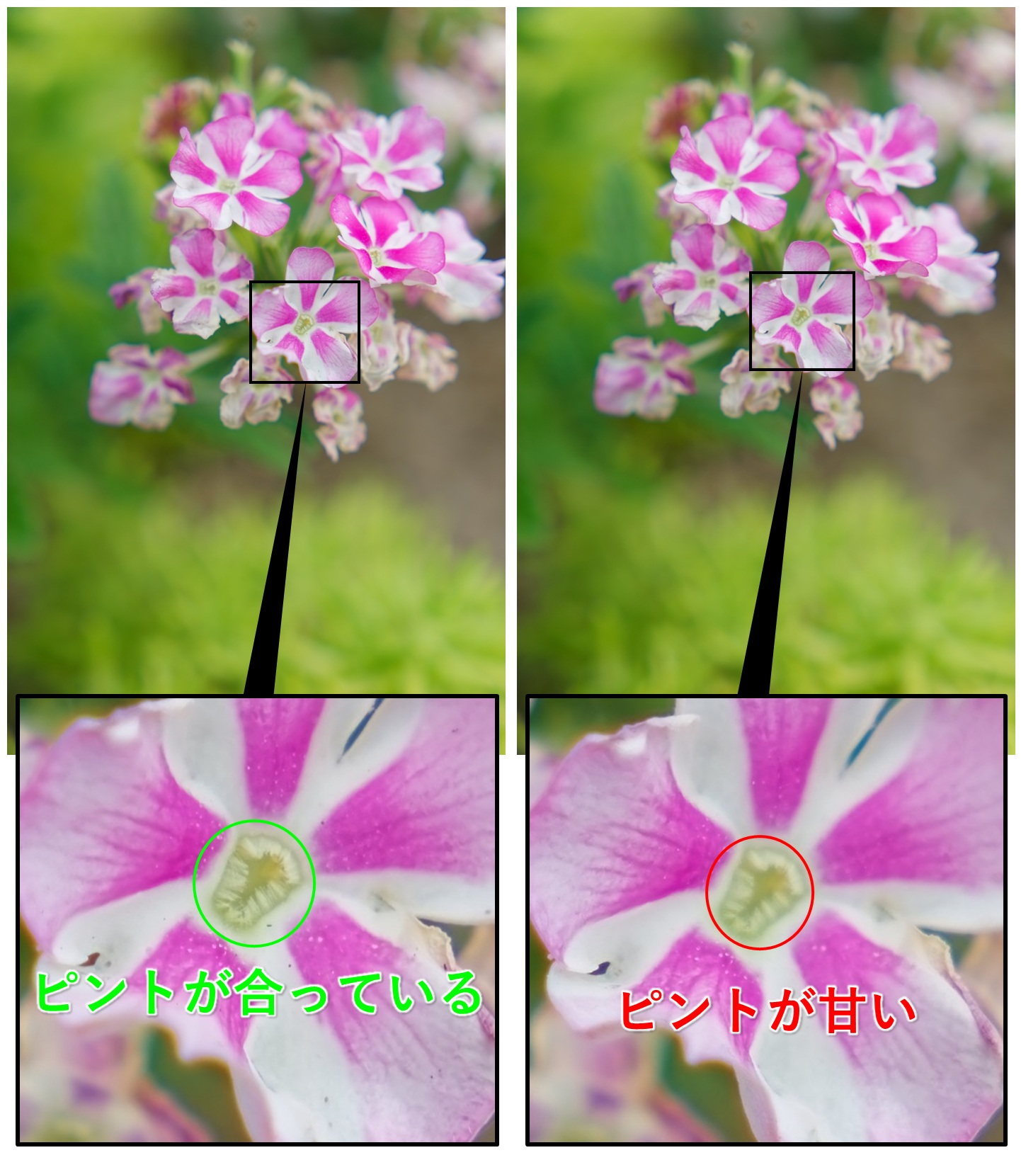 ピント位置のズレ