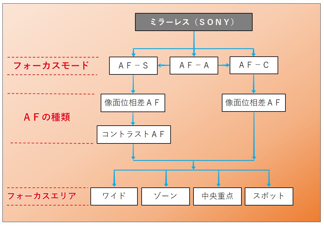 オートフォーカスの機能（ミラーレスカメラα6000）