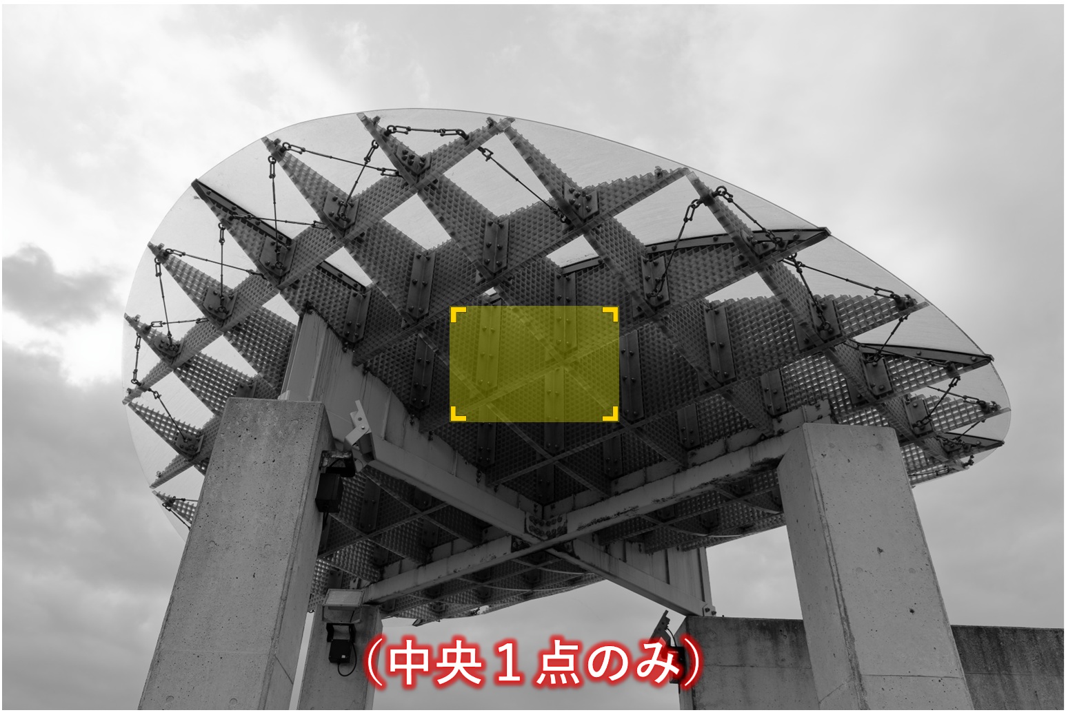 中央重点のAFエリア(中央1点【α6000】)