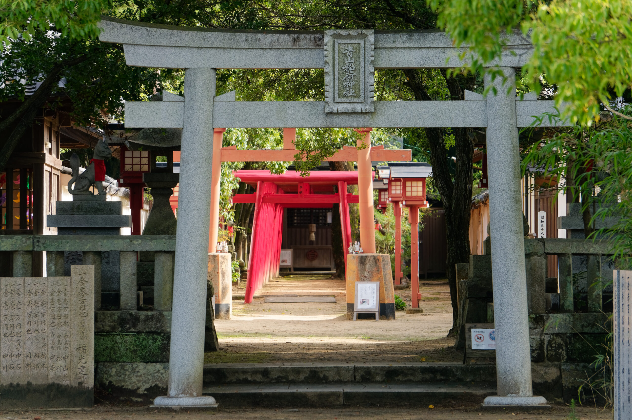 望遠レンズで撮影（鳥居）