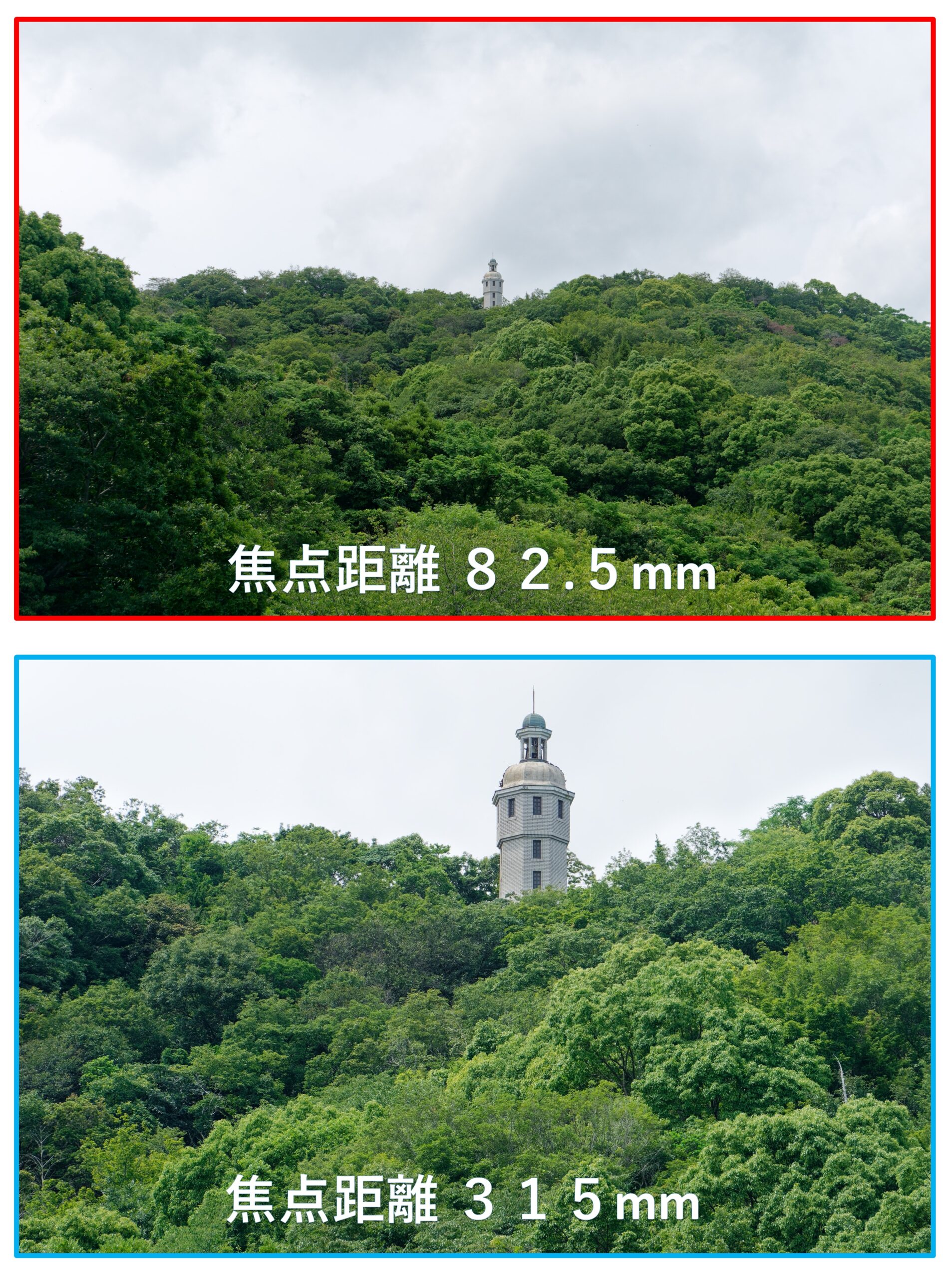 焦点距離82.5ｍｍと315ｍｍによる写真