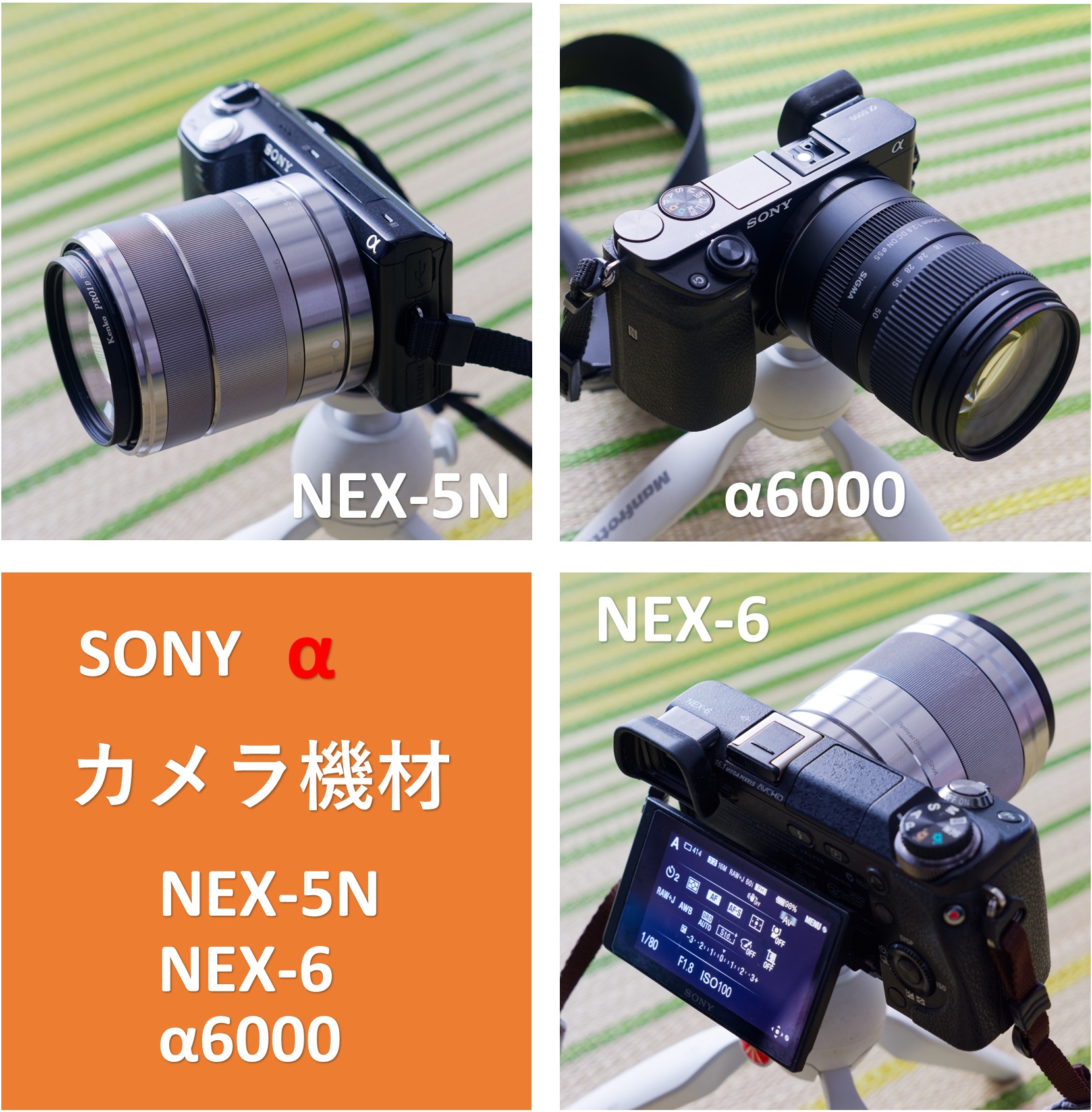 1633 たった554ショット SONY NEX-5N 極美 ソニー ミラーレス ミラー 